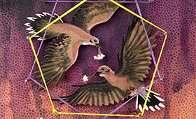 Partnership- Libra, Doves & Yarrow